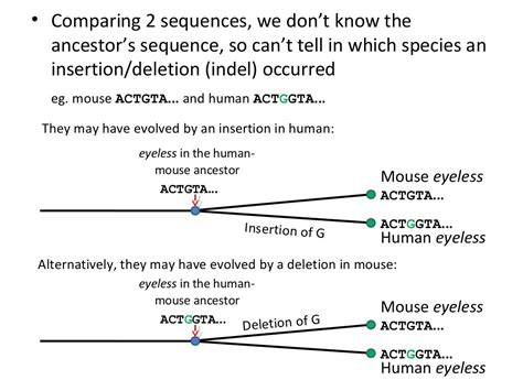 Homology