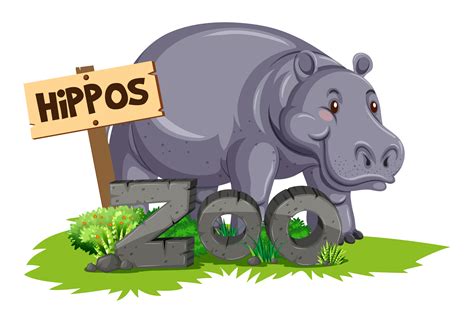 Wild hippo at the zoo 455841 Vector Art at Vecteezy