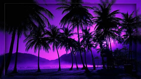 TROPICAL BEACH NIGHT WALLPAPER | Beach night, Beach at night, Ocean wallpaper