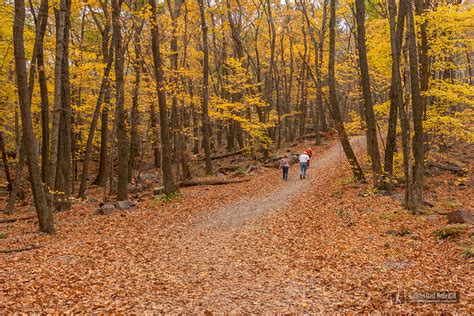 Fall Colors In The Devil's Lake Region - Devil's Lake State Park Area Visitor's Guide ...