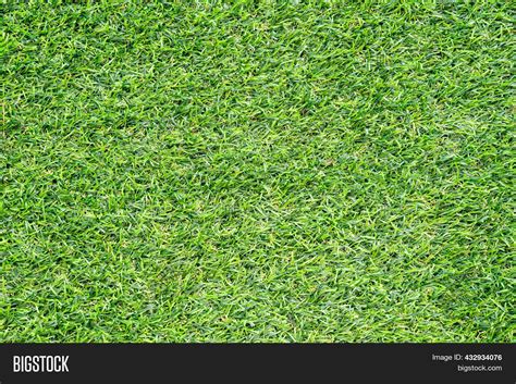 Green Grass Texture Image & Photo (Free Trial) | Bigstock