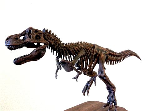 CrabFu Blog: T-Rex Toy Skeleton Makeover