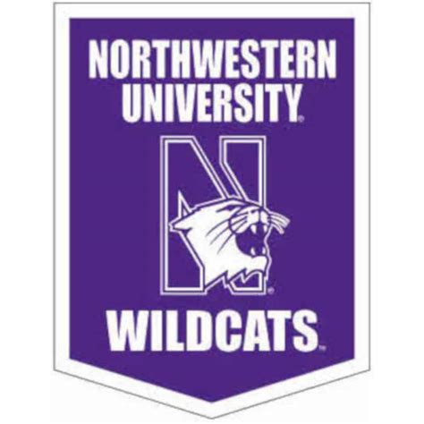 Northwestern Wildcats Wool Felt Vertical Podium Rafter Banner with Mascot Design (18"X24")