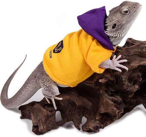 WATFOON Lizard Clothes Bearded Dragon Winter Hoodies Warm Coat Soft ...