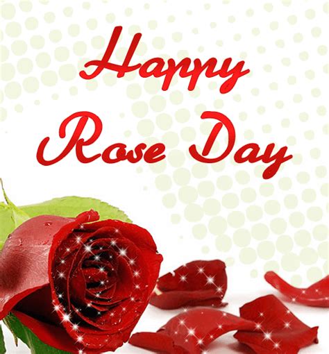 happy red rose day - TheBack-Benchers.comTheBack-Benchers.com