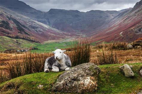 Langdale Valleys Information | Heart of the Lakes