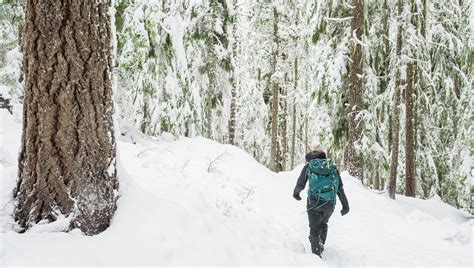 10 Must-Do Winter Adventures near Portland, Oregon