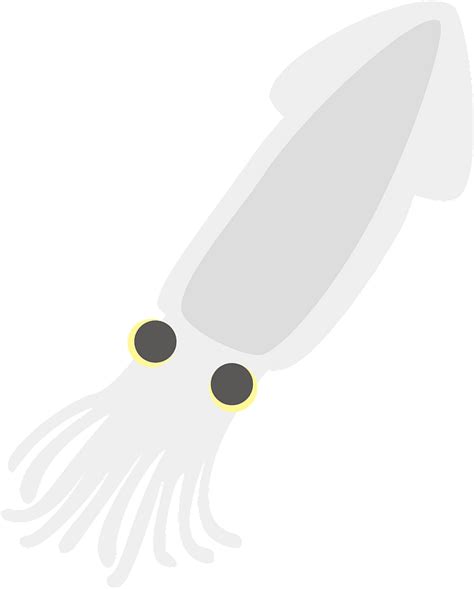 Squid clipart. Free download transparent .PNG | Creazilla