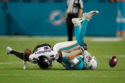 Miami Dolphins Tight End Mike Gesicki Editorial Stock Photo - Stock ...