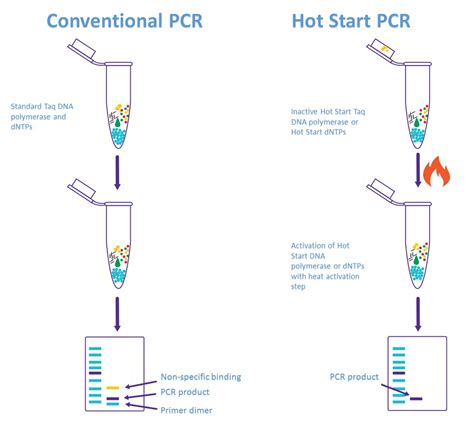 Conventional PCR, One-step RT PCR or Two-step real-time RT PCR: Which one is the best option ...