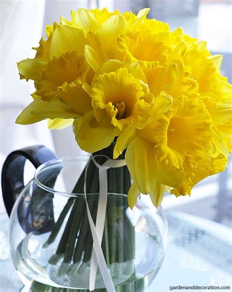 3 easy ideas how to arrange daffodils | Flower arrangements, Daffodils ...