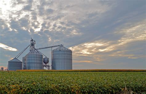 Soybeans, corn, and grain storage say Iowa. Asmus Farms in Rake, IA ...