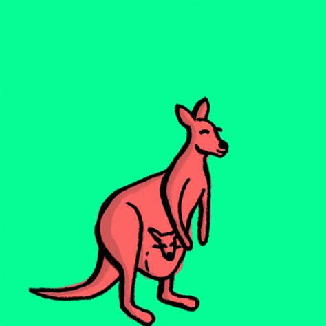 High Animated Kangaroo Jump GIF | GIFDB.com