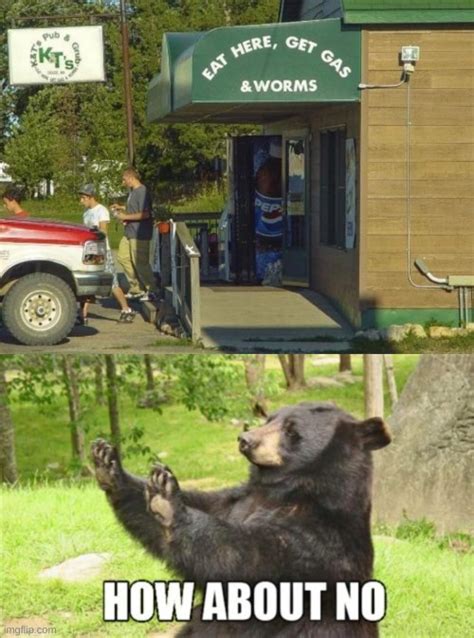 Image tagged in memes,how about no bear - Imgflip