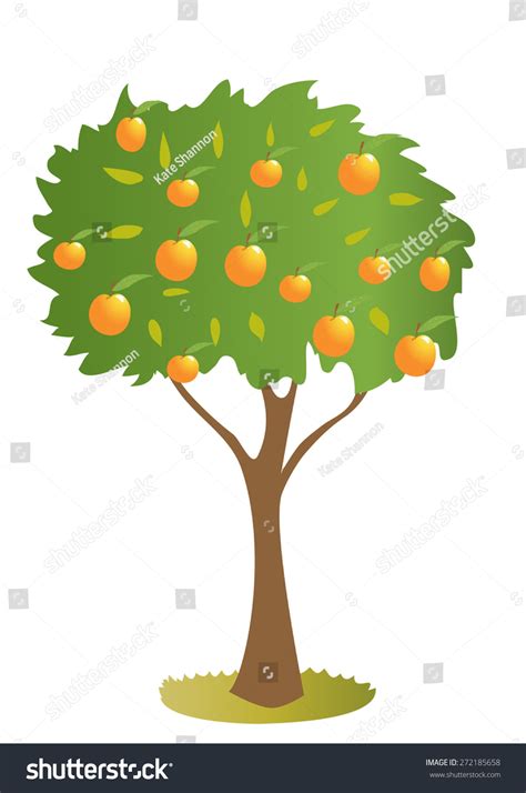 Cartoon Peach Tree Stock Vector (Royalty Free) 272185658 | Shutterstock