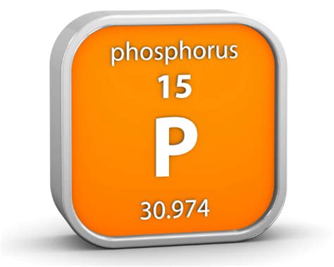The Importance of Micro-Mineral Phosphorus | Agri-King