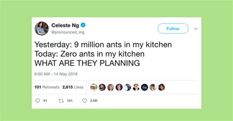 The 20 Funniest Tweets From Women This Week | HuffPost