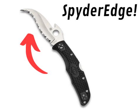 Spyderco Civilian Vs Matriarch [Which Is The Right Knife For You ...