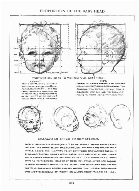 "Figure Drawing For All It's Worth" (Andrew Loomis) - proportions on infants | Art References ...