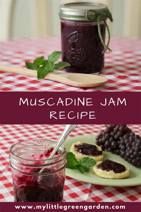 Ball Muscadine Jelly Recipe | Deporecipe.co