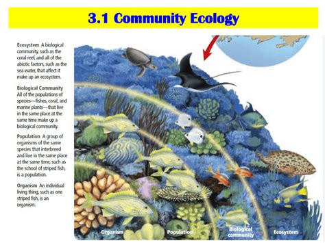 What Is A Community In Biology