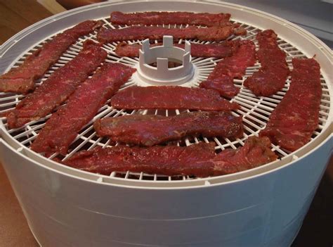 Dehydrator Easy Pressed Beef Jerky | Just A Pinch Recipes