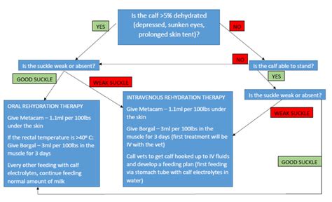 Calf Scours Protocol Flow Chart & Fact Sheet | Welcome