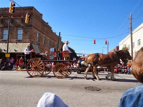 Driggers Diggs: Mule Day Parade