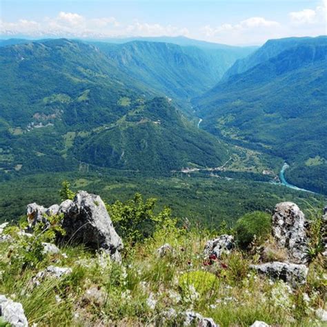 Perućica Forest Attraction and Adventures - Rafting Tara Divlja Rijeka