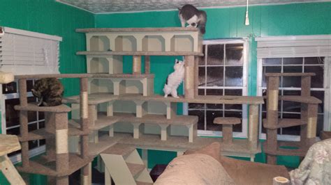 Another custom cat condo built for one of the Feral Feline Friends ...