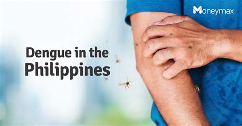 Dengue in the Philippines: Prevention, Symptoms, and Cost | Moneymax