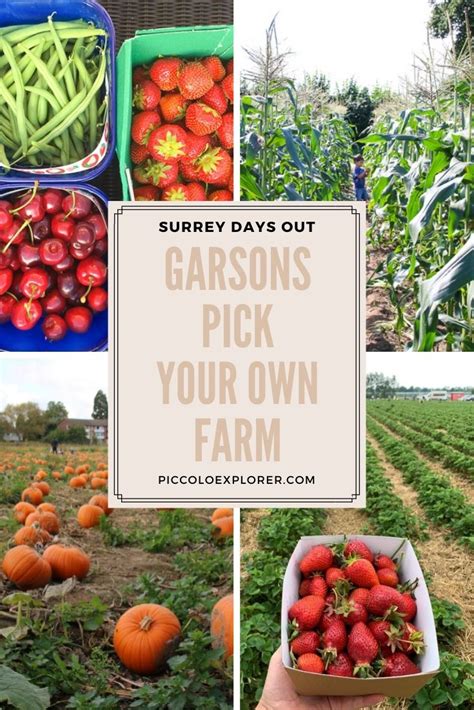 Garsons Pick Your Own Farm Surrey