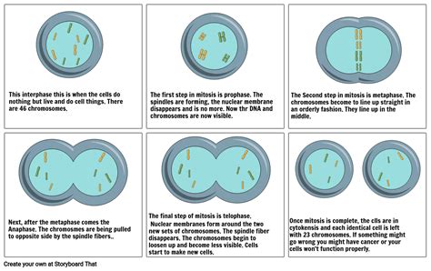 Cell Nucleus Cartoon