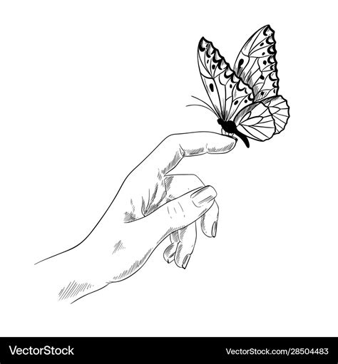 Butterfly on finger girl hand ink sketch Vector Image