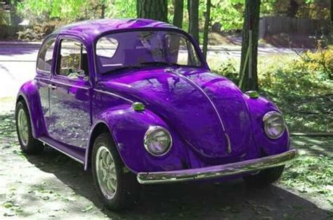 Punch buggy | Purple car, Vw bug, Purple