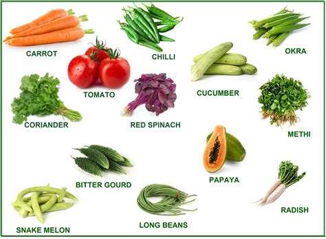 Buy Seed - Variety Other Combo Pack Of 13 Hybrid Vegetable For Terrace And Kitchen Gardening ...