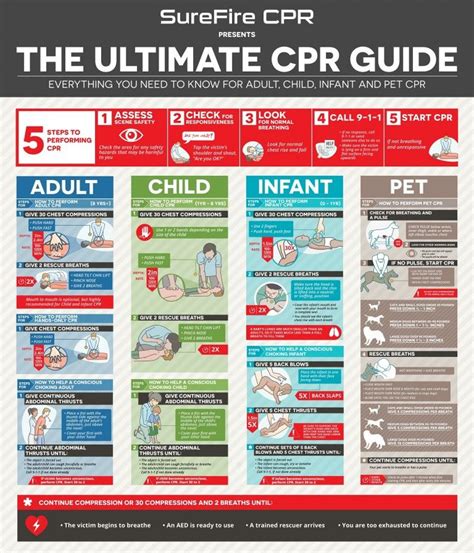 Printable Cpr Cheat Sheet 2023