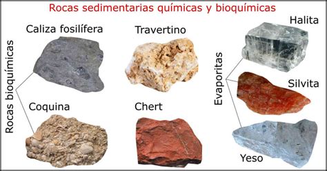 Rocas sedimentarias 🥇 TIPOS, Clasificación y ejemplos