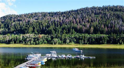 Navajo Lake Lodge, Your Place for fun under the sun in Southern Utah! - Fishing, Camping, Hicking