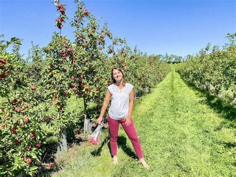 7 Reasons to Visit the Afton Apple Orchard - Expedition Kristen