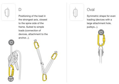 Different Carabiner Shapes | Rigging Lab Academy