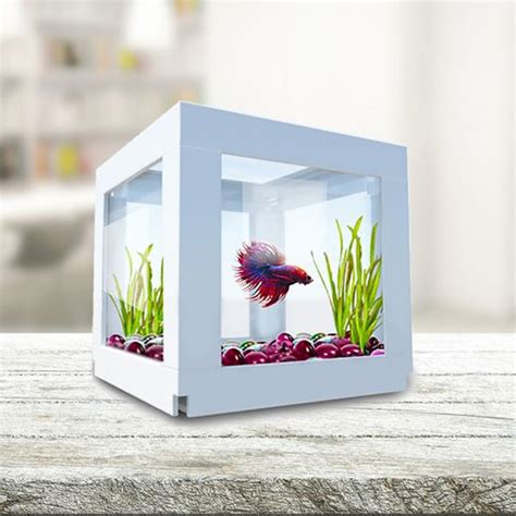 10 Creative DIY Mini Aquarium For Kids Learn And Explore | HomeMydesign