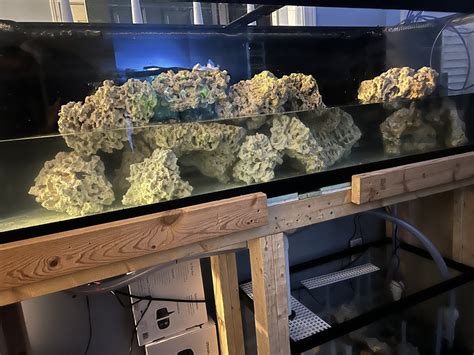 Build Thread - New 125 gallon Saltwater Tank setup | Reef2Reef