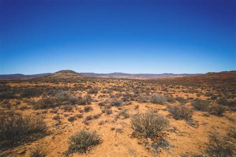 Namaqua National Park in Südafrika - Erfahrungen & Tipps