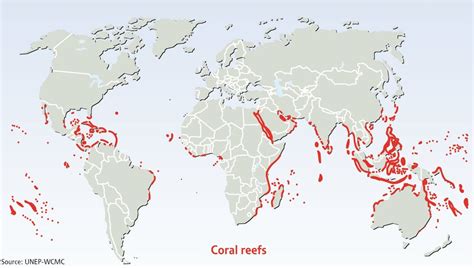 Reefscape: a global reef survey to build better satellites for coral conservation | One Earth