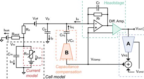 A more realistic voltage-clamp experiment equivalent circuit. This ...