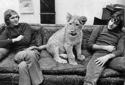 Christian the Lion or Lion Re Union