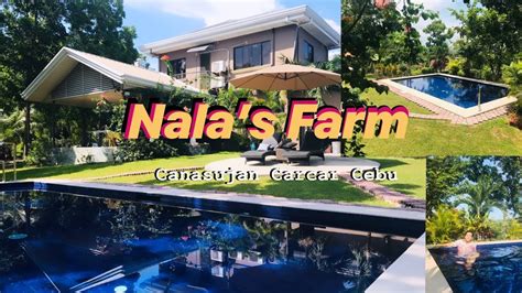 Nala’s Farm - YouTube