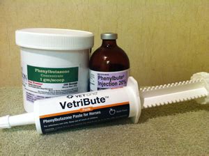 Equine Veterinary Services - Health - What is BUTE anyway?