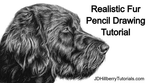 How to Draw Realistic Fur with Pencil - Tutorial - YouTube